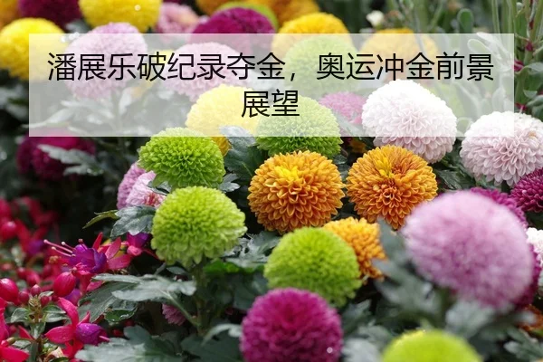 潘展乐破纪录夺金，奥运冲金前景展望